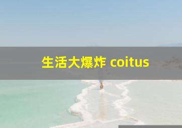 生活大爆炸 coitus